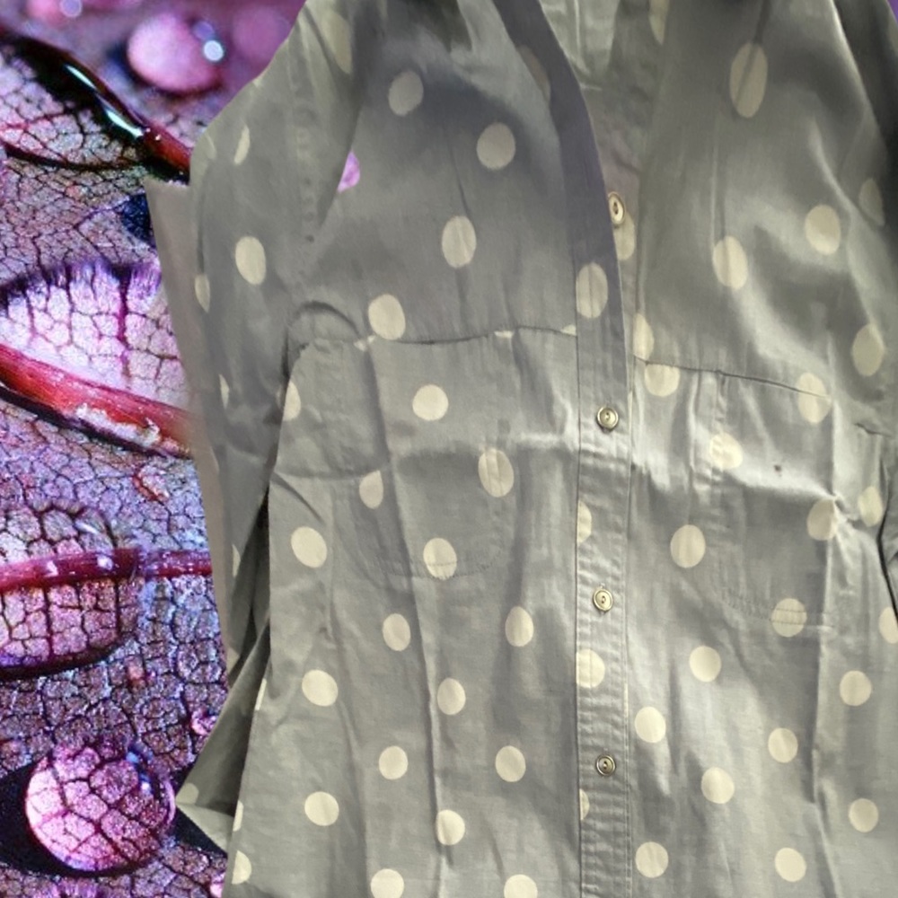 NWOT COLLARED LONG SLEEVE BUTTON DOWN SHIRT